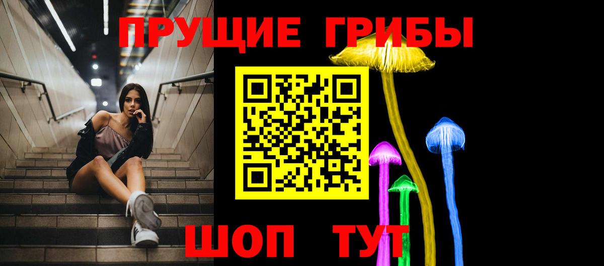 Галлюциногенные грибы MAGIC MUSHROOMS  Псилоцибиновые грибы Psilocybe  Вход с VPN  купить наркотики цена  Красноуфимск 